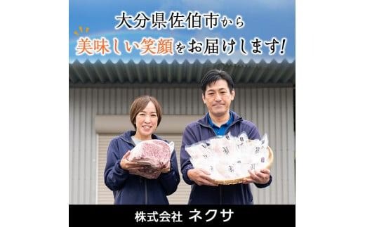 【試食用とり天2枚付】＜訳あり＞地魚フライセット詰合せ (計8P・3種類以上) おかず おつまみ 惣菜 お惣菜 お弁当 詰め合わせ アジフライ さば 鯖 あじ 鯵 ぶり 鰤 冷凍 時短 小分け 魚 魚フライ ふるさと納税 【DH191-G】【ネクサ】