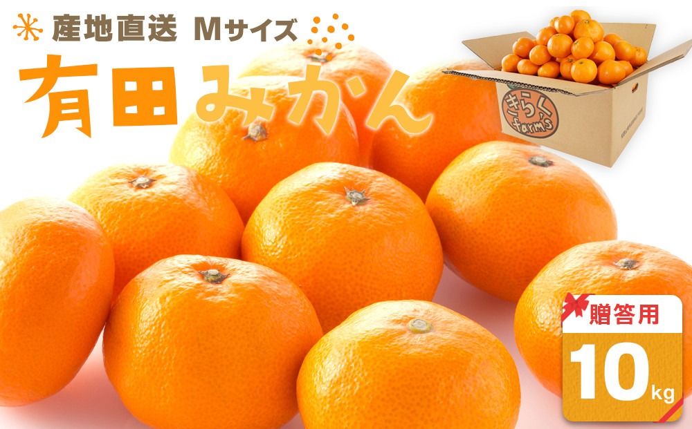 産地直送 贈答用 有田みかん Mサイズ 約10kg 喜楽farms [2025年11月以降順次発送]AL06