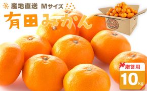 産地直送 贈答用 有田みかん Mサイズ 約10kg 喜楽farms 【2025年11月以降順次発送】AL06 