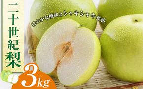 二十世紀梨 3kg（JA） ※2026年8月下旬～9月上旬頃に順次発送予定 313726_AT009