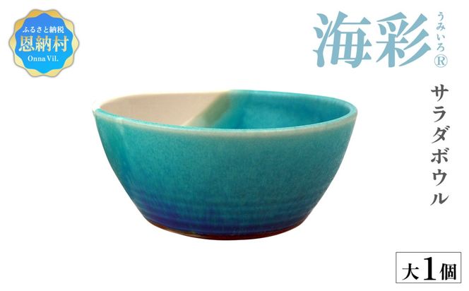【青風窯：海彩】サラダボウル 大 1個（陶芸家・玉田彰）