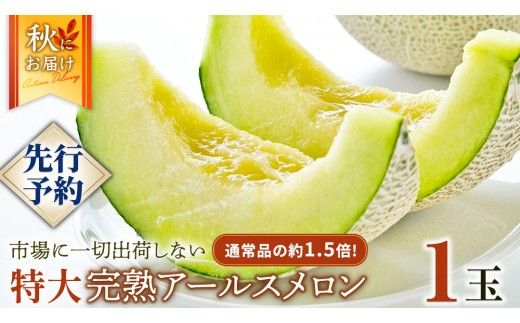 完熟 特大 アールスメロン １玉 2026年産 先行予約 メロン マスクメロン 青肉 果物 フルーツ 茨城県産 期間限定 数量限定 [AF087ci]