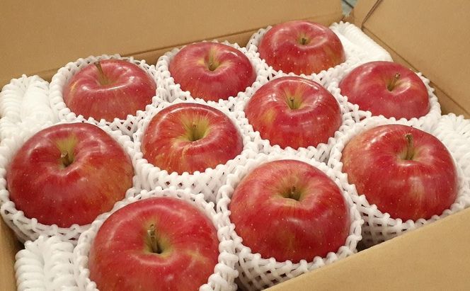 鶴田町　25年3月おすすめ返礼品！初夏までおいしい理由がある！【5月発送クール便】白熊 贈答用シナノスイート約3kg スマートフレッシュ 糖度13度【青森りんご 果物 フルーツ 果物類 デザート 食後 おやつ 青森のりんご 】