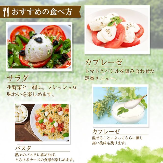 志賀高原で育った モッツアレラチーズ100g 4袋セット 加工食品 乳製品 