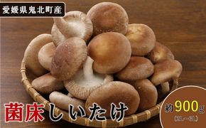 菌床しいたけ 900g（2L～3L）24個 ｜ 肉厚 収穫直後 新鮮 旨味たっぷり 菌床栽培 国産 きのこ キノコ 野菜 料理 食品 産地直送 自宅用 愛媛県鬼北町　※離島への配送不可　※2026年7月下旬頃までに順次発送予定