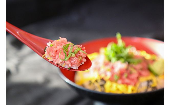 日光丸水揚げの海鮮をたっぷりお届け！御前崎の海鮮詰め合わせセット（1～2人前）海鮮 詰め合わせ セット 冷凍 時短 おつまみ おかず ごはん 加工品 222232_BC037