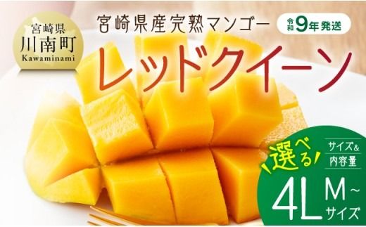 ※内容量が選べる※【令和9年発送】宮崎県産完熟マンゴー　「レッドクイーン」Lサイズ～4Lサイズ 【 果物 フルーツ マンゴー 宮崎県産 完熟マンゴー みやざきマンゴー 先行予約 季節限定 】 [B03210 B03211 B03212 B03213 B03214 B03215 B03216 B03217 B03218 B03219]