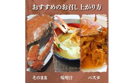 訳あり ボイル ワタリガニ 1kg ( 3~4杯 ) 茹で 渡り蟹 カニ 蟹 魚介 海鮮 新鮮 冷凍 パスタ 鍋 なべ 味噌汁 味噌 みそ 愛知県 南知多町 人気 おすすめ 【離島不可】