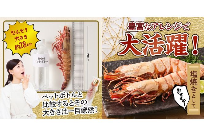 【C-136】特大 天然海老(有頭･4尾)