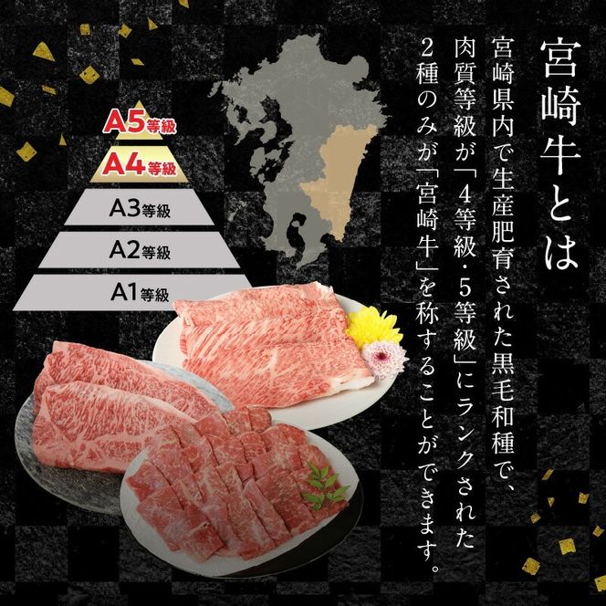 宮崎牛モモ焼肉用500g N0147-YA679