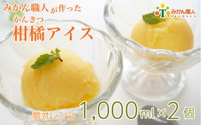 みかん職人が作った柑橘アイス1000ml×2（夢オレンジ×２）