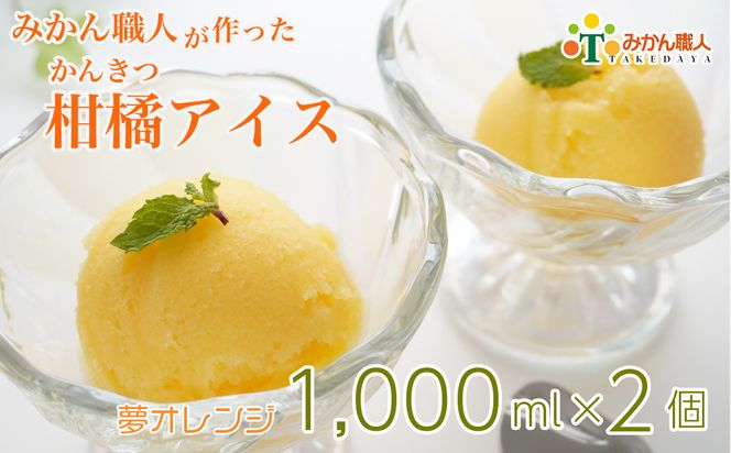 みかん職人が作った柑橘アイス1000ml×2（夢オレンジ×２）
