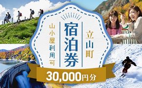 立山町 宿泊施設 宿泊券 30,000円分 宿泊チケット 宿泊 宿 山小屋 山荘 ホテル 旅 旅行 観光 レジャー チケット 登山 トレッキング アルペンルート 山岳観光 立山観光 F6T-1070