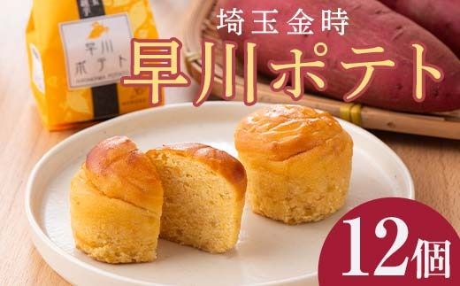 yʌOFz|eg12l ւ̔zs FAA-162