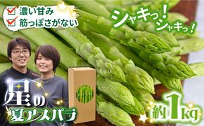 【2026年5月下旬～発送】【数量限定】甘い！柔らかい！【星のアスパラ】グリーン アスパラガス 約1kg / アスパラ あすぱら あすぱらがす 採れたて 新鮮 旬 産地直送 野菜 / 南島原市 / ほしのYA [SEY001]