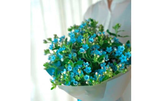 【CF-R7hbk】t179tmf　《6ヵ月定期便》 ブルースター 花束 初回花瓶付 定期便 定期コース 全6回 延命剤付き ラッピング 花びん 生花 花束 ブーケ 花 お花 可愛い キレイ おしゃれ 供花 お供え ギフト プレゼント
