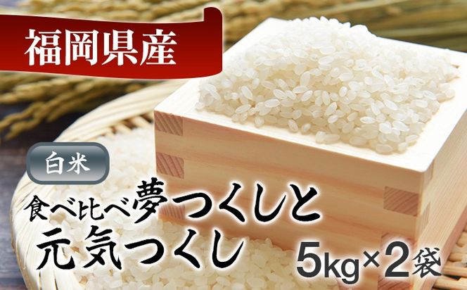 令和8年産 福岡県産米食べ比べ（白米）「夢つくし」と「元気つくし」セット　計10kg お取り寄せグルメ お取り寄せ 福岡 お土産 九州 福岡土産 取り寄せ グルメ 福岡県