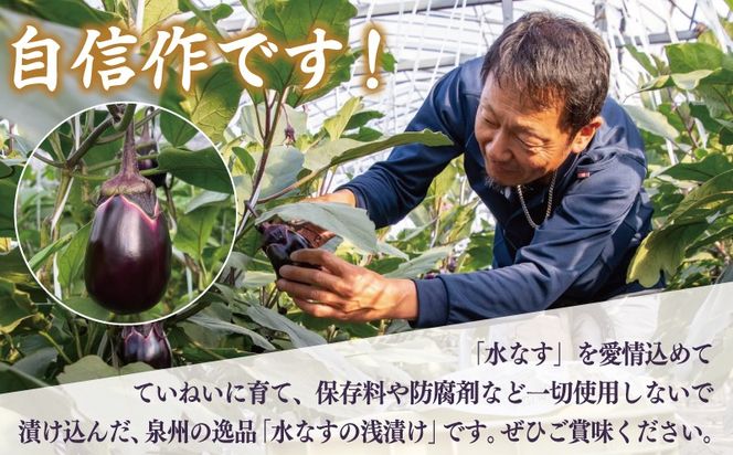 099H4486 特選 俺の浅漬け（水なす浅漬け） 6個入り【新鮮 朝採り 泉佐野産 水ナス 水茄子】