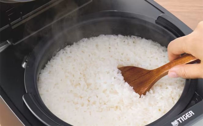 【2026年新製品】タイガー魔法瓶 圧力IH炊飯器 JPV-M100KG 5.5合炊き グロスブラック 312011_DH031VC01