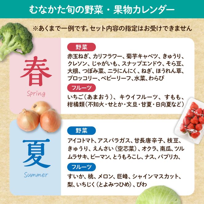 【定期便／年12回／毎月お届け】むなかた旬のお任せセット(野菜・フルーツ・お米／9～11品)【ほたるの里】_HB0029