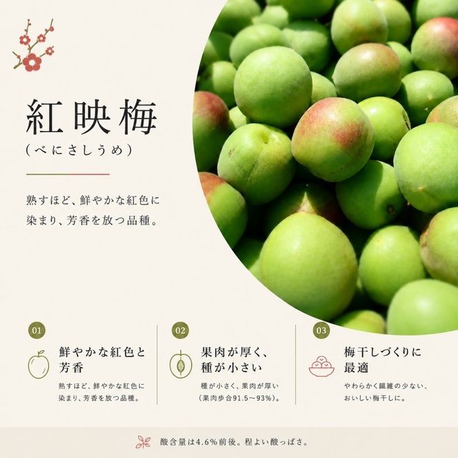 【訳あり】大入り梅干し130g×3袋 合計 390g 【保存容器付き】 発酵食品 昔ながらの梅干し すっぱい しそ漬け 塩分18％ Lサイズ 紅映梅を使用 福井県の特産 訳ありはパッケージ変更のため