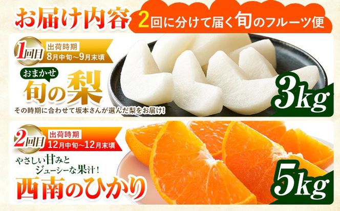 フルーツ 定期便 旬の梨 3kg 西南のひかり 5kg 2回定期便 さかもと果樹園《梨：8月中旬-10月上旬頃出荷 みかん：12月中旬-12月末頃出荷》熊本県 玉東町 梨 みかん 柑橘 果物 旬 秋 冬 先行予約 産地直送 デザート 秋冬 詰め合わせ---gkt_skm_7_8kg_2kh---