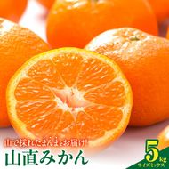 【2026年先行予約】みかん 山から直送 箱込 5kg ( 内容量 4.4kg ) 鮮度優先ごろごろ規格 和歌山県産 産地直送 家庭用 【みかんの会】_MK1038