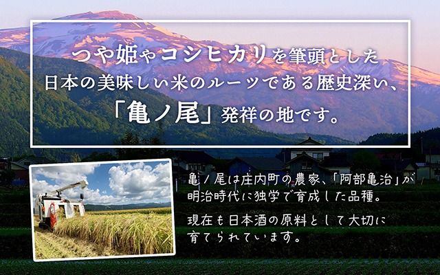 【令和8年産】吉祥ファーム 七福米 2kg×7種 計14kg 7種食べ比べセット 庄内町産 優秀金賞受賞農家 ゆうだい21 ひとめぼれ ササニシキ はえぬき つや姫 雪若丸 ミルキークイーン ブランド米 米 国産 単一原料米 山形 庄内平野 ギフト 贈り物