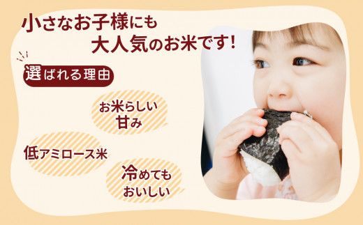 【先行予約】【定期便 2ヶ月】令和8年産 茨城県産 ミルキークイーン 精米15kg（5kg×3袋） ※2026年11月～発送