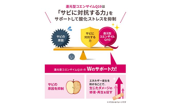 ＜機能性表示食品＞DHC コエンザイムQ10還元型 30日分2個セット サプリメント 健康食品 加工食品 抗酸化作用 エネルギー産生を助ける 酸化ストレスを緩和 