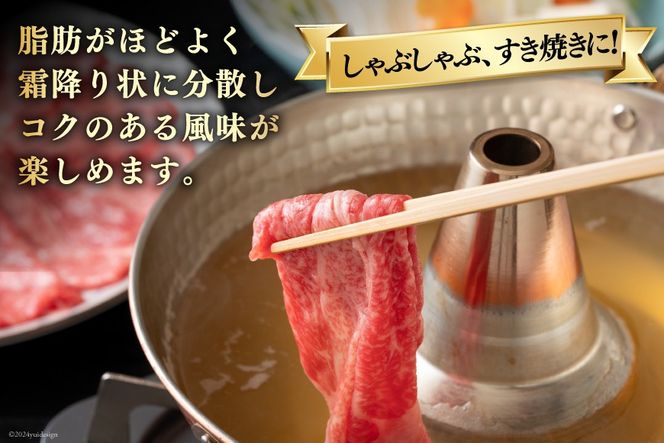 牛肉 宮崎牛 モモ スライス 500g ×2 計 1kg [ローカルブランディング 宮崎県 美郷町 31bb0031] 小分け 冷凍 黒毛和牛 A4 A5 すき焼き しゃぶしゃぶ 国産 薄切り