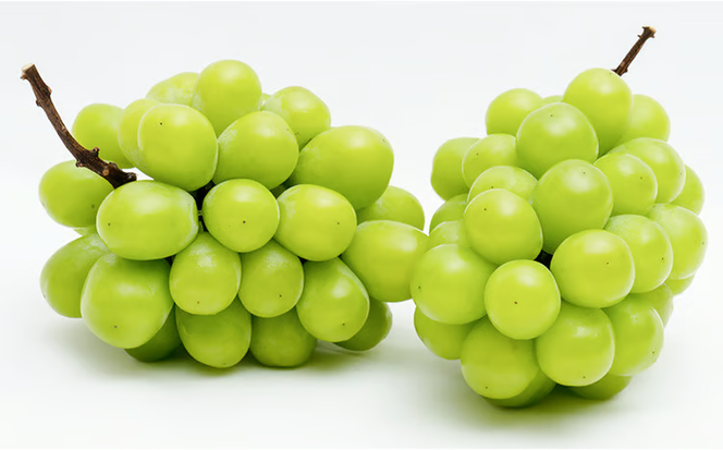 ぶどう 2026年 先行予約 シャイン マスカット 晴王 2房 （1房 600g以上） 化粧箱入り マスカット ブドウ 葡萄 岡山県産 国産 フルーツ 果物 ギフト 高級ぶどう 大粒 種なし 贈答品 [№5735-1461]