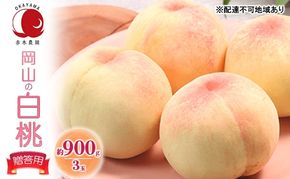 桃 2026年 先行予約 贈答用 岡山の白桃 約900g 3玉 白桃 もも モモ フルーツ 果物 国産 赤木農園