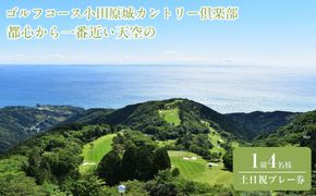『都心から一番近い天空のゴルフコース小田原城カントリー倶楽部 1組4名様土日祝プレー券』|ゴルフ プレー 券 チケット 神奈川県 小田原市 ふるさと納税 142069_AN004
