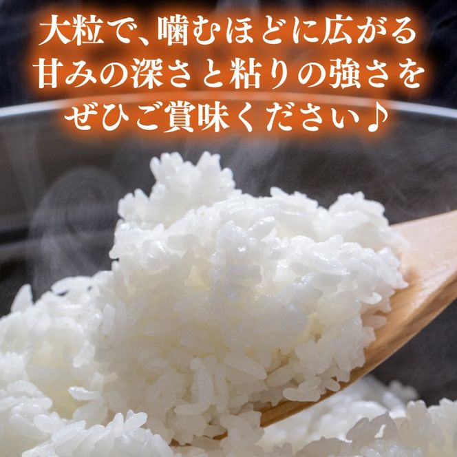 ★新米 令和8年★ 米 5kg 白米 「ゆうだい21」 ＼先行予約／ 山﨑観光農園 栃木県 益子町 ふるさと納税 お米 ゆうだい21 白米 精米 5キロ 令和8年産 先行予約 (AU058-12)