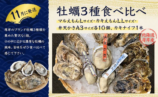 厚岸の魅力大集合 季節 定期便 全5回お届け 牡蠣 ウニ 海老 ホタテ 昆布巻 海鮮 魚貝類 魚貝 海産 海産物