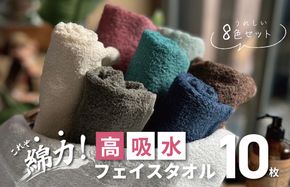 010B1372 【スピード発送】高吸水 フェイスタオル 10枚セット【これぞ綿力 泉州タオル 国産 吸水 普段使い シンプル 日用品 家族 ファミリー】