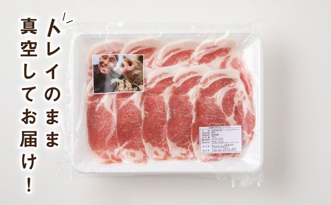 ≪放牧和豚≫　肩ロース 焼き肉用 4mmスライス 300g　K26_0029_1