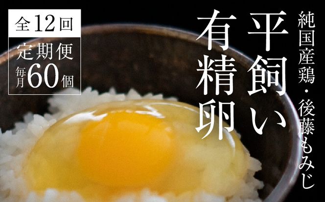 【全12回定期便】平飼い有精卵 60個《西粟倉村》【株式会社点々】t-SS-DpDA