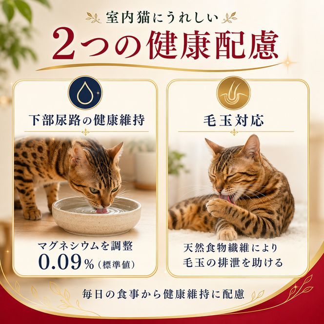 ビューティープロ キャット 成猫用 1歳から 1.5kg ｘ8(ケース単位) キャットフード