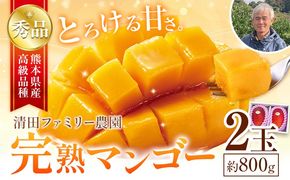 くまもと完熟マンゴー 2玉(約800g) 熊本県玉名郡玉東町『清田ファミリー農園』マンゴー 完熟 秀品【日付指定不可】《5月下旬-8月末頃出荷》---gkt_kyfm_1_800g---
