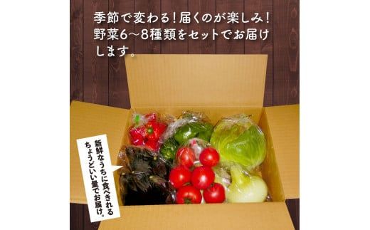 【CF-R7hbk】【先行予約】朝どれ！野菜の詰合せ／芸西村で採れた新鮮な野菜6～8種類をお届けします。