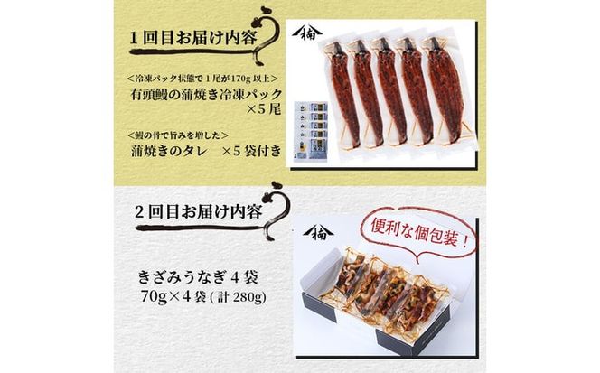 【定期便全5回】うなぎ2.1kg！5ヶ月間うなぎが楽しめる定期便！ t0098-002