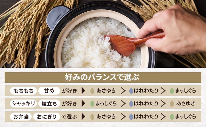 令和8年産 米 特別栽培米 はれわたり 10kg [玄米] 青森県産 新米 先行予約 10キロ (5kg×2) 特A 小分け 一人暮らし 鰺ヶ沢町 送料無料《H.GREENWORK》【10月中旬以降順次発送】