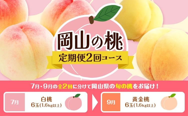 [2026年先行予約][2回定期便]桃 岡山の桃定期便 2回コース 岡山県産 岡山白桃 黄金桃 株式会社山博[2026年7月上旬-9月末頃出荷]岡山県 笠岡市 フルーツ 果物 白桃 もも お取り寄せ[配送不可地域あり]---Y-42---