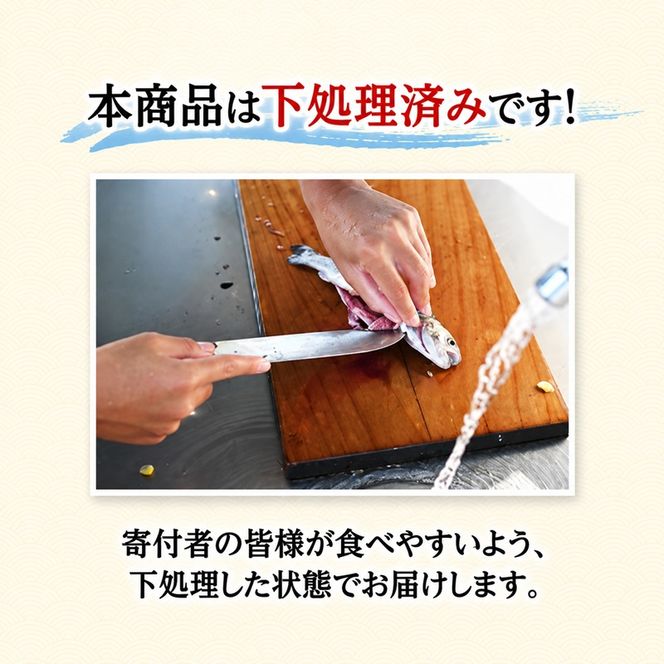 【 年3回 定期便 冷蔵 クール便 】にかほ市の海を自宅で堪能！ 鮮魚詰め合わせセット 3～4人前 「12月～3月配送対象外」【 下処理済み 鮮魚セット 象潟 海産物 海鮮 海の幸 秋田 にかほ 】