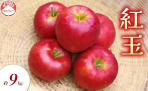 【2026年9月～発送】紅玉 約9kg りんご リンゴ 林檎 果物 フルーツ 長野県 長野 山ノ内町