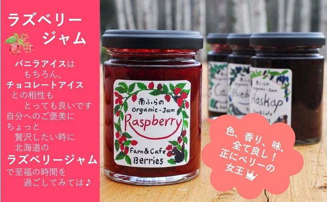 2種のベリー【ブルーベリー＆ラズベリー】手作りジャムセット 各2個 北海道 南富良野町 ジャム ベリー ブルーベリー ラズベリー ソース カシス 果実 てんさい糖 無農薬 