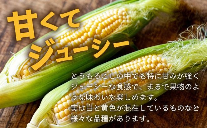 【先行予約2025年12月-2026年4月】 1番遅くて1番早い！？  朝採れプレミアムスイートコーンを皮付きのまま15本お届け！！