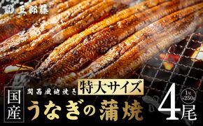 099H5088 国産有頭旨鰻 250g×4尾 特大サイズ【関西風地焼き 老舗 五郎藤 うなぎ 1kg 小分け unagi ひつまぶし 簡単調理】